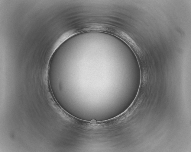 X0000116341378200912011340