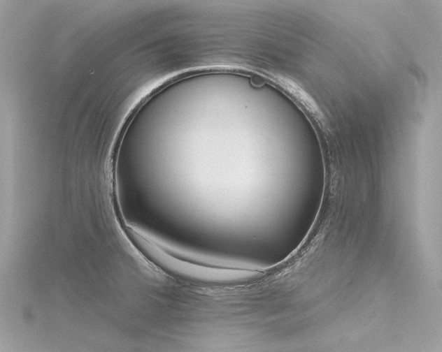 X0000116341380200912011340