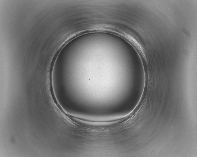 X0000116341384200912011340