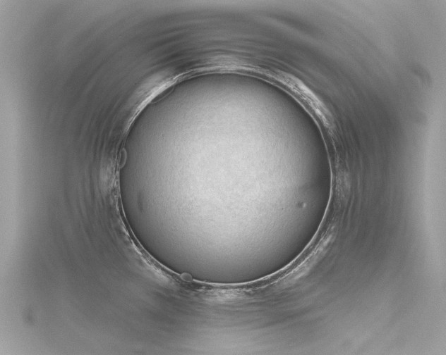 X0000116341385200912011340