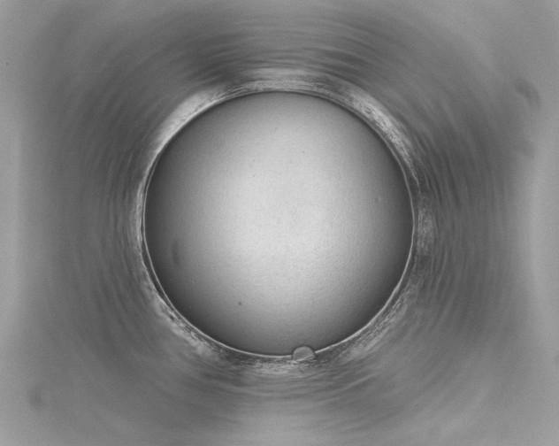X0000116341386200912011340