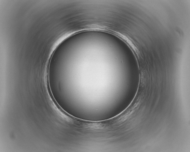 X0000116341387200912011340