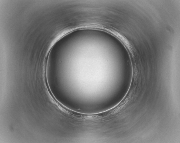 X0000116341390200912011340