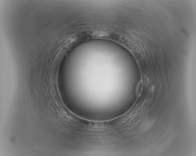 X0000116341393200912011339