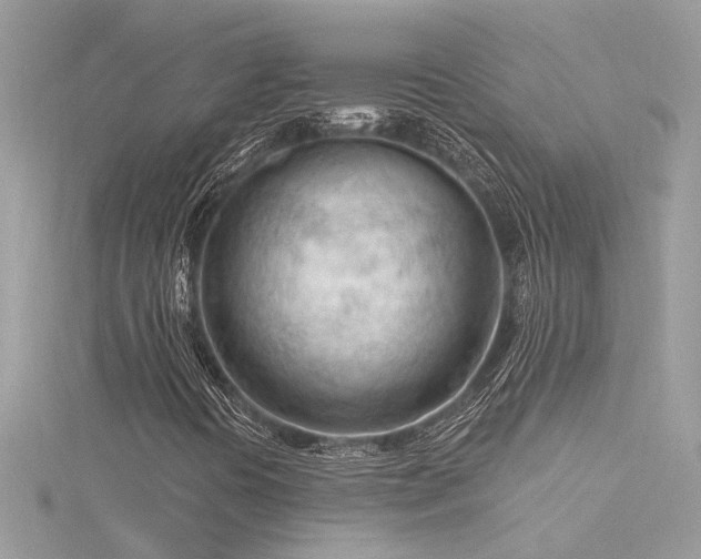 X0000116341394200912011339