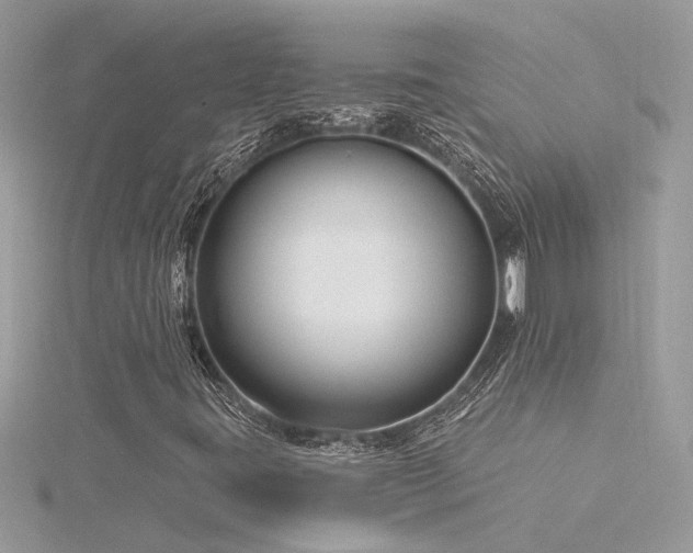 X0000116341395200912011339