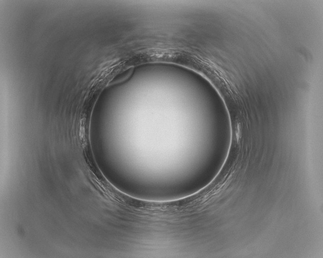 X0000116341396200912011339
