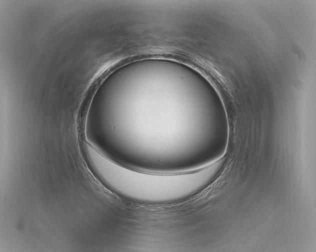X0000116341404200912011339