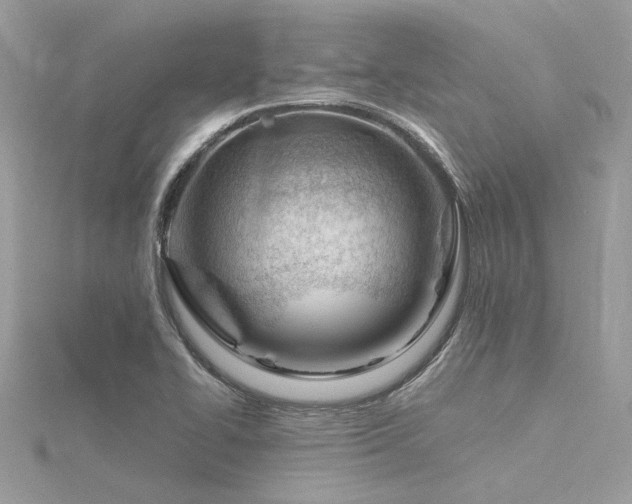 X0000116341414200912011340