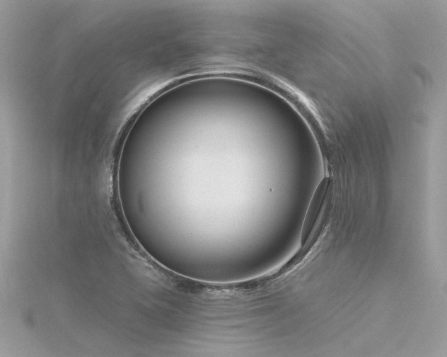 X0000116341415200912011340