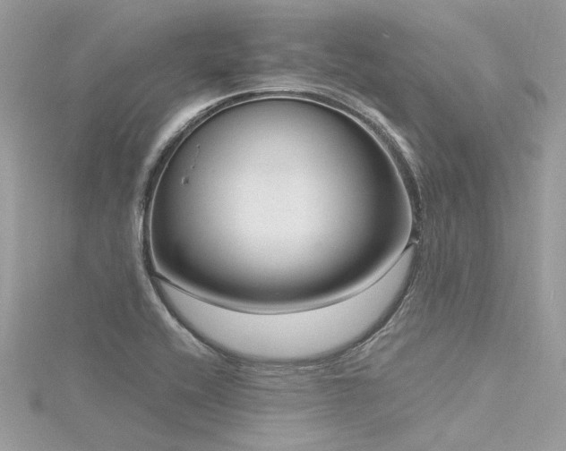 X0000116341416200912011340
