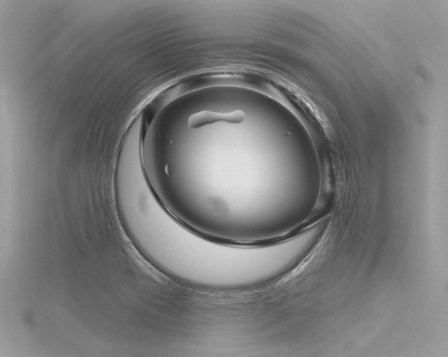 X0000116341417200912011340