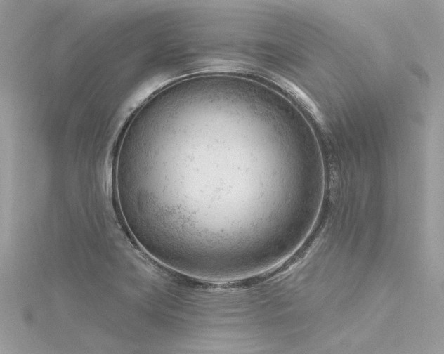 X0000116341419200912011340