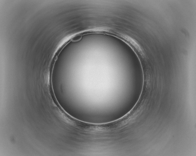 X0000116341420200912011340
