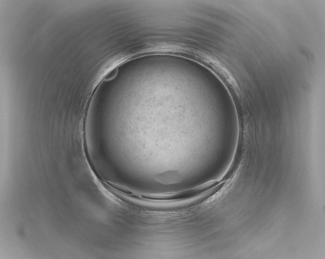 X0000116341425200912011340