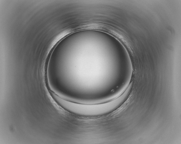 X0000116341426200912011340