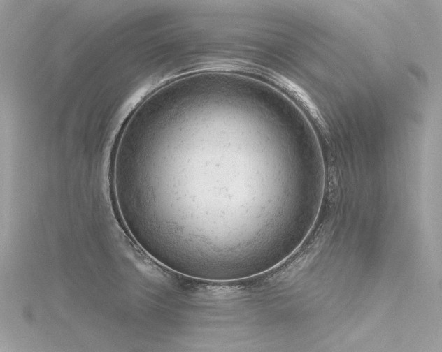 X0000116341427200912011340