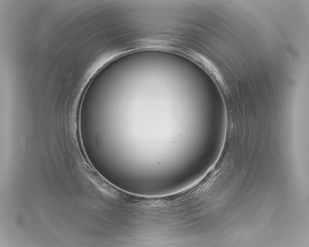 X0000116341435200912011340
