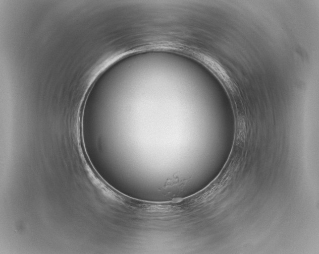 X0000116341439200912011340