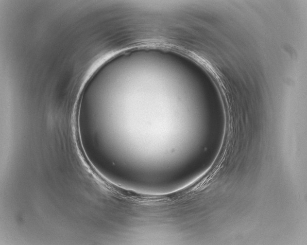 X0000116341440200912011340