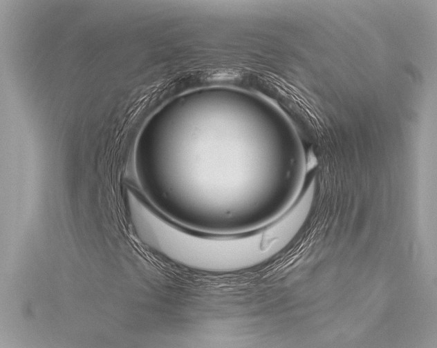 X0000116341441200912011339