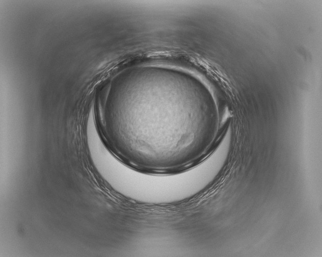 X0000116341445200912011339