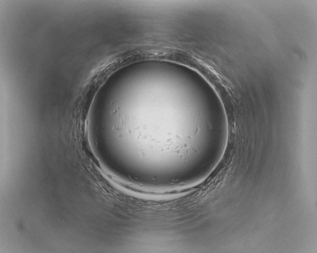 X0000116341447200912011339
