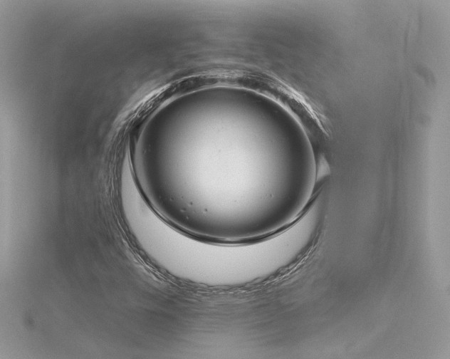 X0000116341448200912011339