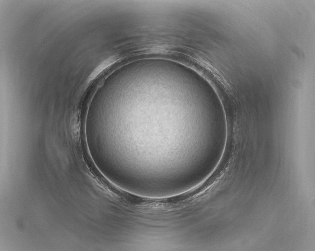 X0000116341450200912011339