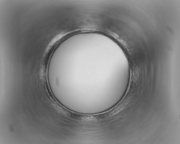 X0000116341454200912011339
