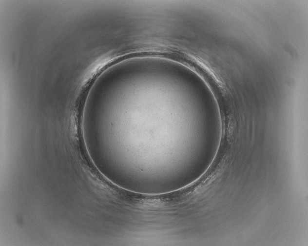 X0000116341455200912011339