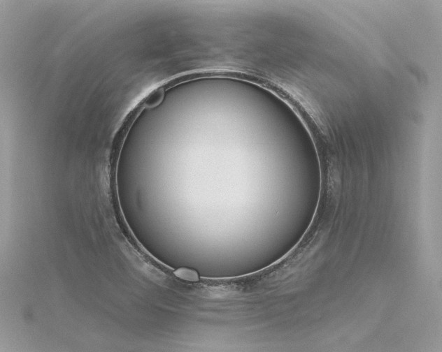 X0000116341460200912011339