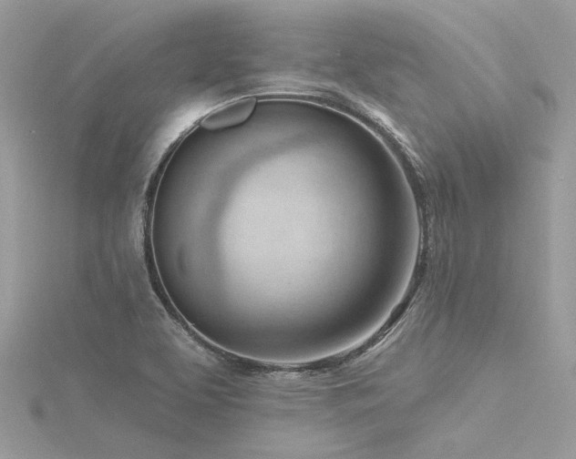 X0000116341463200912011339