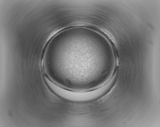 X0000116341465200912011339