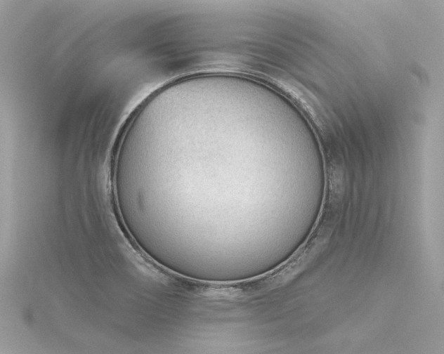 X0000116341466200912011339
