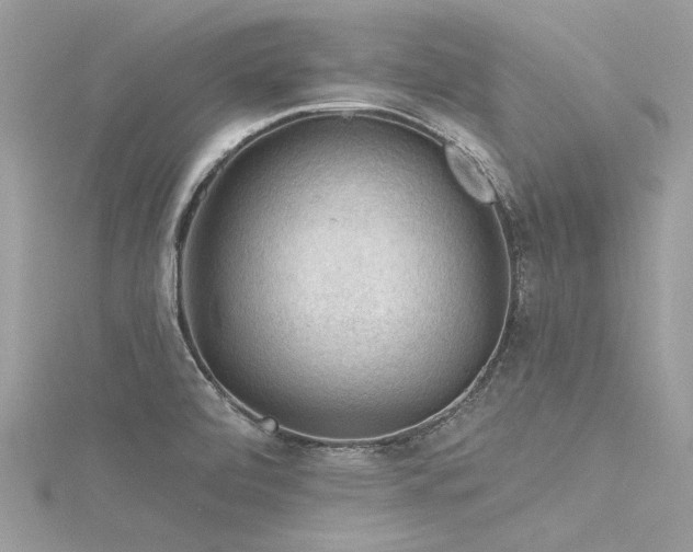 X0000116341472200912011339