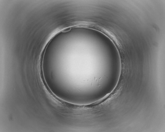 X0000116341475200912011339
