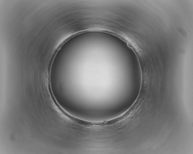 X0000116341476200912011339