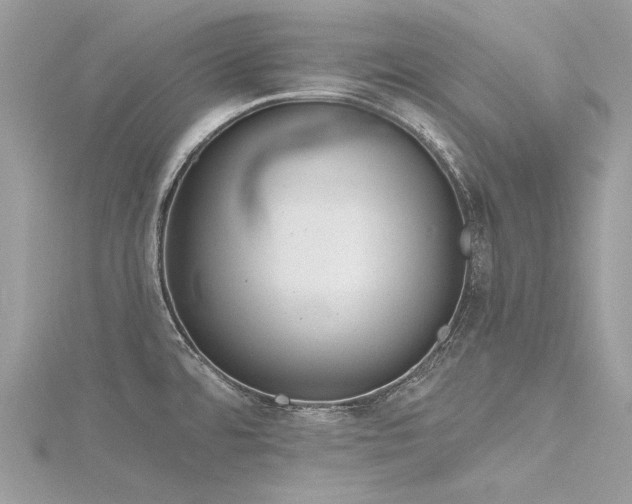 X0000116341480200912011339