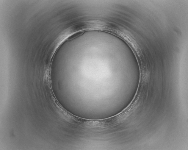 X0000116341481200912011339