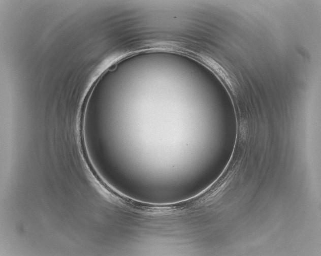 X0000116341482200912011339