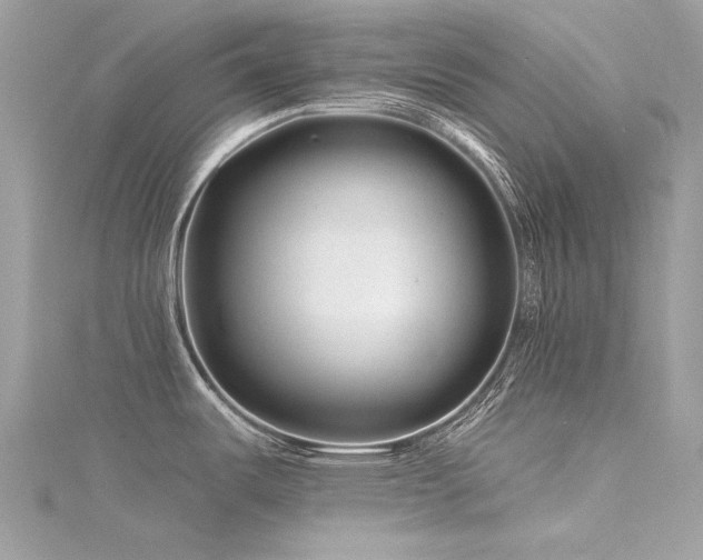 X0000116341487200912011339