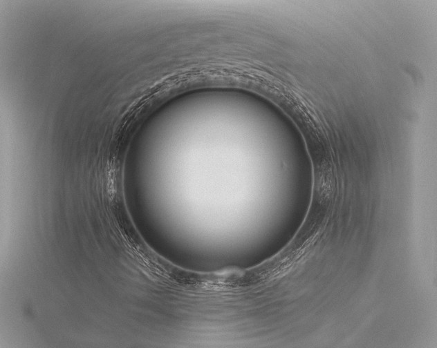 X0000116341490200912011338