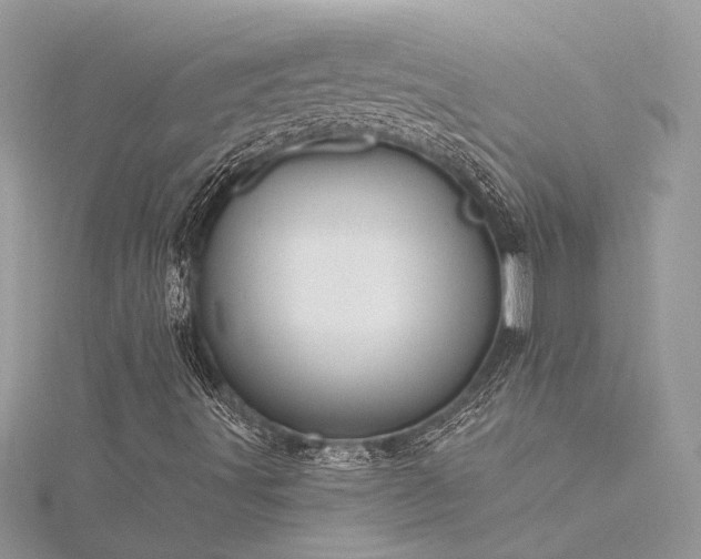 X0000116341491200912011338