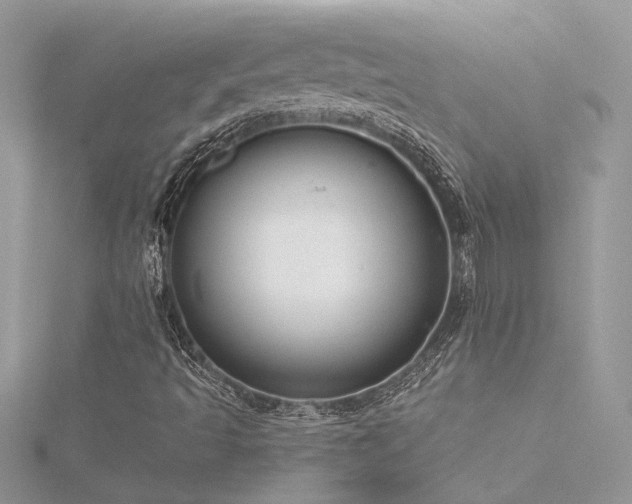 X0000116341493200912011338