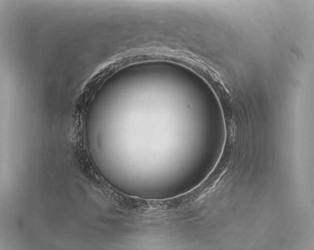 X0000116341494200912011338