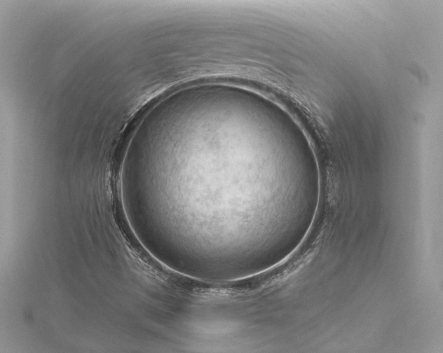 X0000116341497200912011338