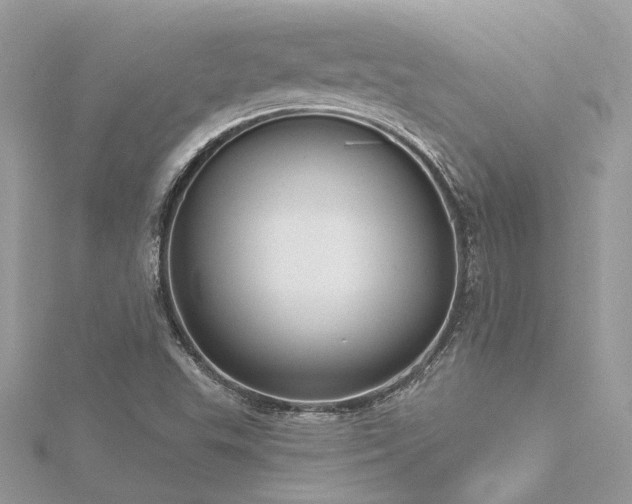 X0000116341503200912011338