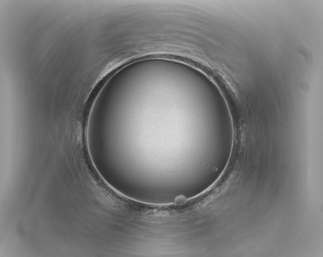 X0000116341505200912011338