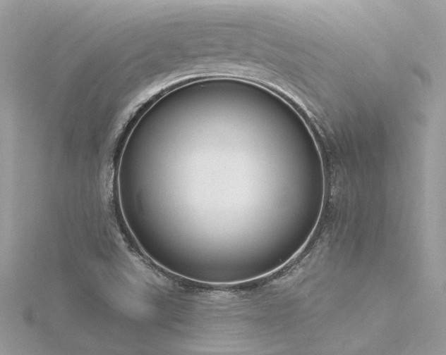 X0000116341507200912011338